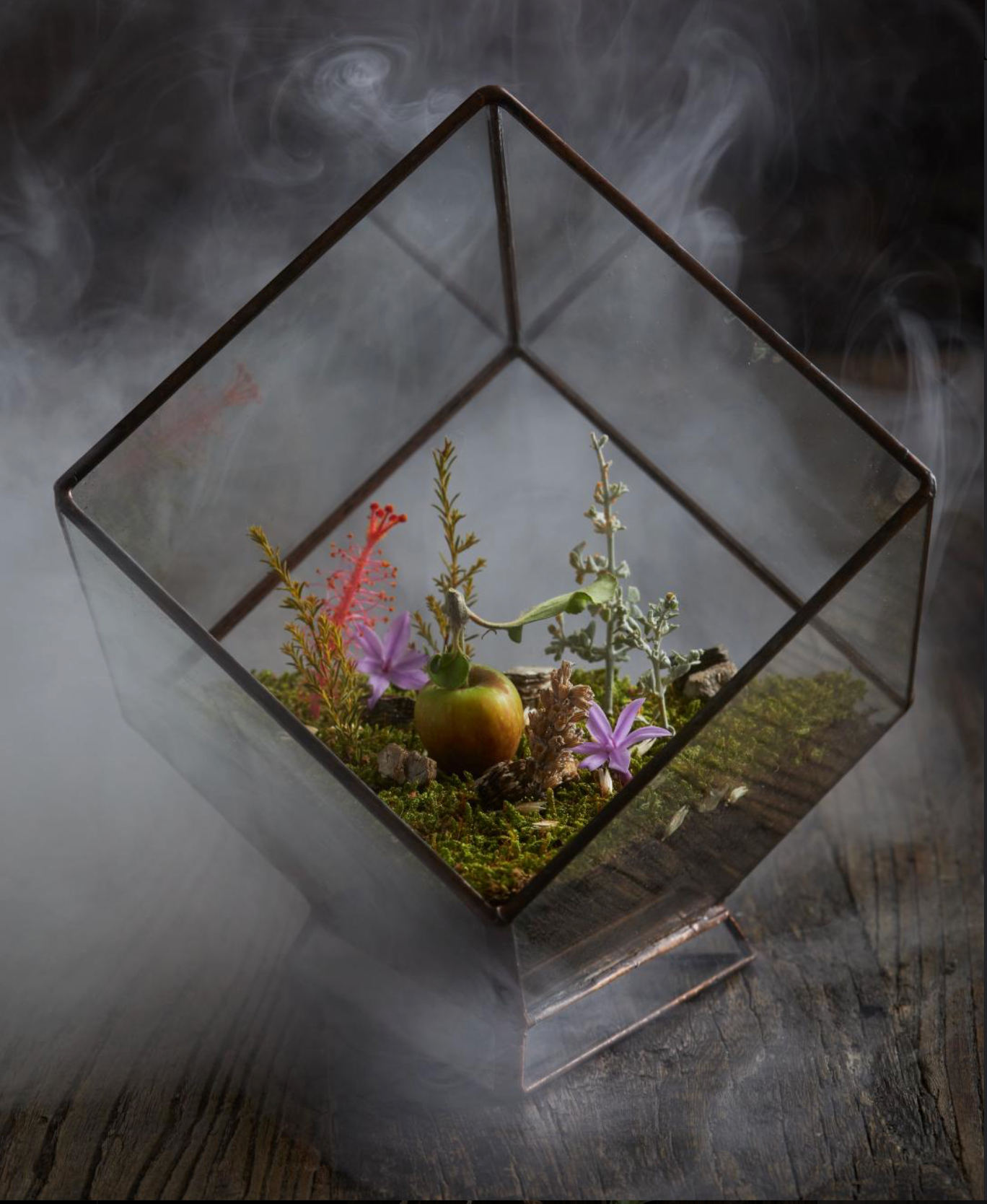 Terrarium